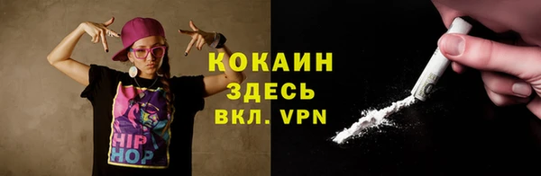 гашик Туринск