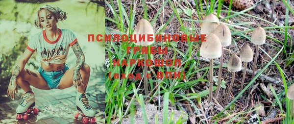 мдпв Тутаев