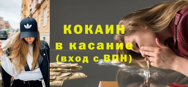 гашик Туринск
