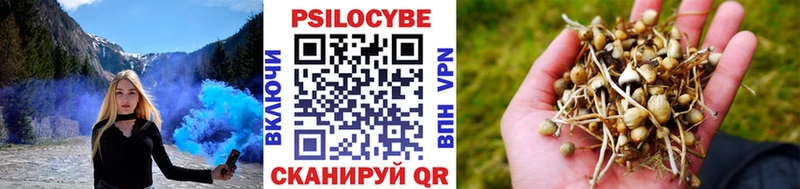 Псилоцибиновые грибы Psilocybine cubensis Валдай